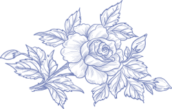 flower,flower line,flower line art, hoa lá 3