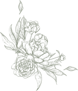 flower,flower line,flower line art, hoa lá 1
