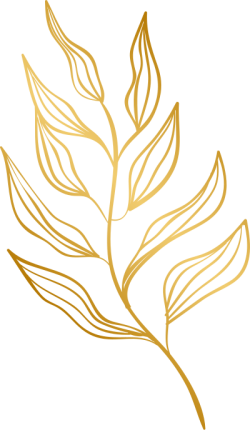 luxury flowers, hoa sang trọng, golden lines, luxury 4