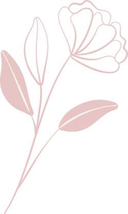 hoa, flower, wedding, beauty