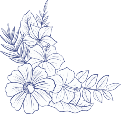 flower,flower line,flower line art, hoa lá 6