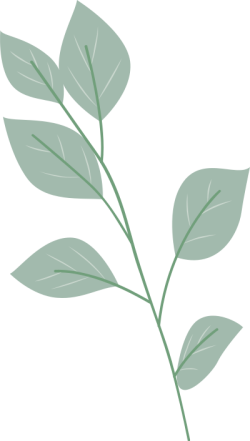 hoa, lá, flower 8