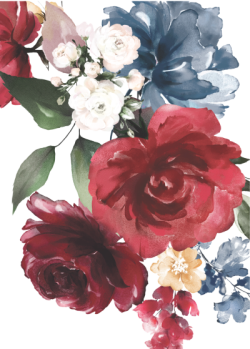 Hoa, flower, watercolor, đỏ, red 3