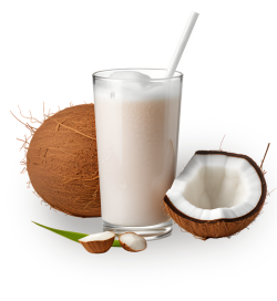 sinh tố dừa, coconut,  juice, đồ uống