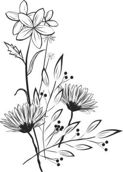 Flowers, hoa