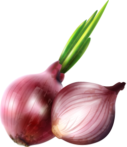 nông sản, vegetable, rau củ, hành tím, purple onion,