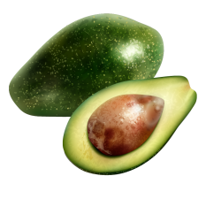 bơ,avocado