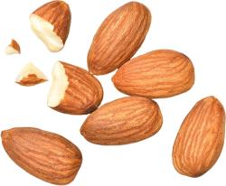 nut, hạt, food