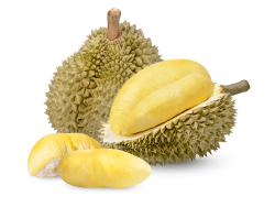 sầu riêng, durian, trái cây, fruit, food