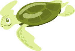 rùa,turtle