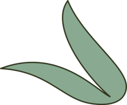 lá, leaf