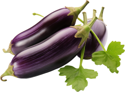 rau, rau củ, vegetable, thực phẩm, cà tím