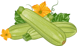 squash, bí đao, củ quả
