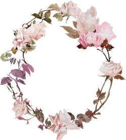hoa, màu nước, watercolor, hoa hồng, thiên nhiên, flower, vintage