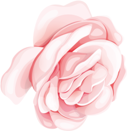 brush, màu nước, watercolor, abstract, hoa hồng, hoa lá, flower, rose
