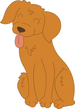 cún, puppy, chó, chó con, pet