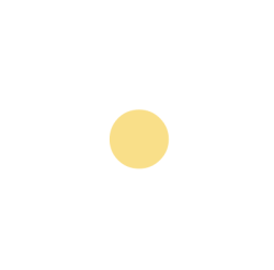 hoa, flower