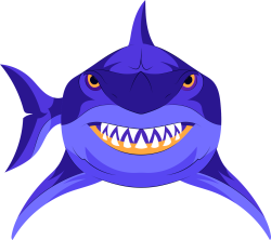 cá mập, shark