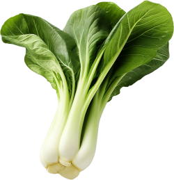 rau, vegetable 1