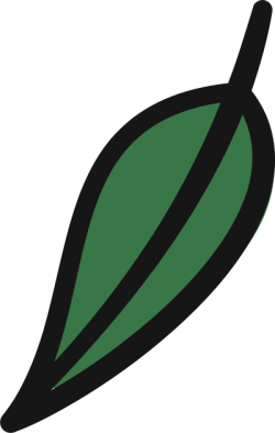 lá cây, lá, leaf