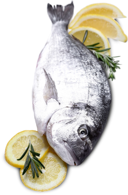 cá, fish, seafood, hải sản