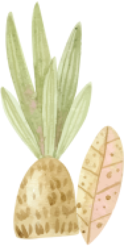 cây cỏ, thiên nhiên, rau củ, plants, nature, vegetables