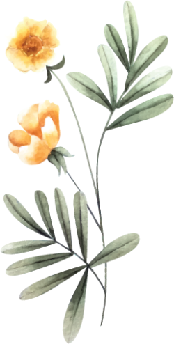 hoa lá, flower, leaf, màu nước, watercolor, thiên nhiên, hoa cỏ