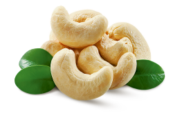 thực phẩm, nông sản, hạt điều, organic, cashew