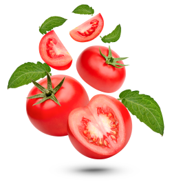 thực phẩm, nông sản, cà chua, nông sản, tomato