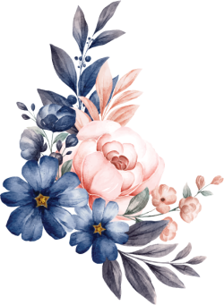 hoa lá, flower, màu nước, watercolor, thiên nhiên, hoa cỏ, xanh hồng, navy blush