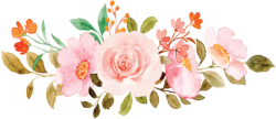 flower, hoa, lá, watercolor, pink 6
