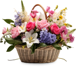 bouquet, bó hoa, basket, giỏ hoa, hoa, flower