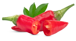 ớt, ớt khô, ớt tuôi, chilly, rau củ 1