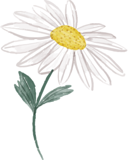 hoa, flower