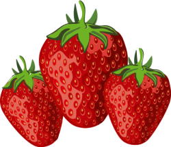 dâu, strawberry