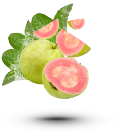 rau củ, trái cây, fruit, ổi, guava