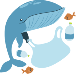 cá voi, cá, fish