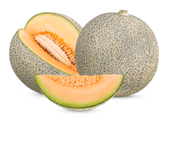 dưa lưới, cantaloup