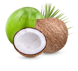 dừa, coconut