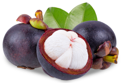 măng cụt, mangosteen