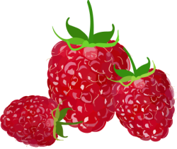 Trái dâu, strawberry
