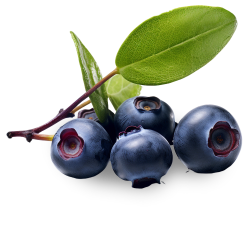 việt quất, bluberry, thực phẩm