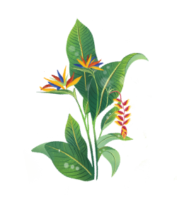 brush, màu nước, watercolor, abstract, hoa lá, flower