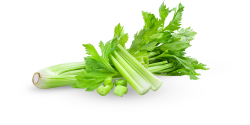 rau, rau củ, vegetable, thực phẩm, rau cần tây, cần tây