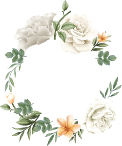 hoa, màu nước, watercolor, hoa hồng, thiên nhiên, flower