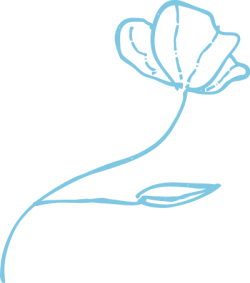 hoa, flower, hoa màu xanh, blue, lá, leaf