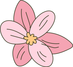 hoa, flower, hoa đào 3