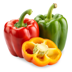 bell pepper, ớt chuông, thực phẩm, nông sản