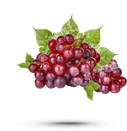 nho, grape