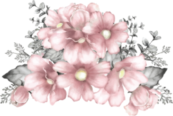 brush, màu nước, watercolor, abstract, hoa lá, flower, pink